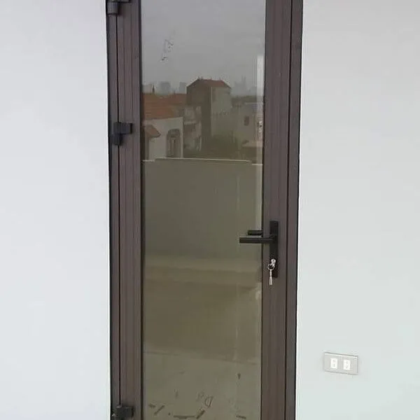 Mẫu cửa đi nhôm Xingfa màu xám ghi 1 cánh hiện đại