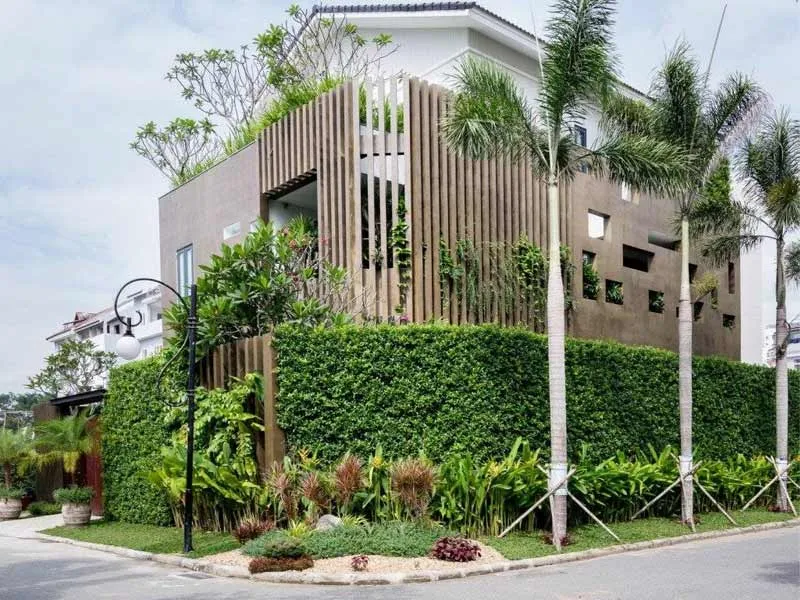 Hàng rào cây xanh