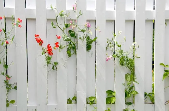 Máº«u hÃ ng rÃ o nhÃ´m mÃ u tráº¯ng sá»© Ä‘áº¹p