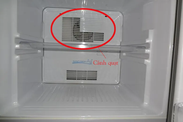 Tủ lạnh kêu có thể do cánh quạt bị khô