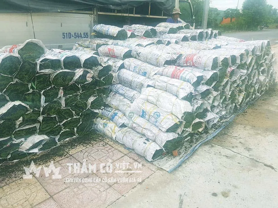 Địa chỉ vườn ươm