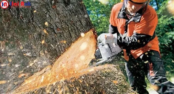Chi tiết mắt xích máy cưa