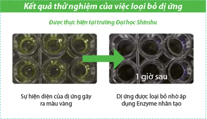 Màng lọc Nano Platinum
